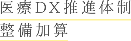   医療DX推進体制整備加算
